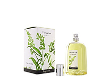 Verveine