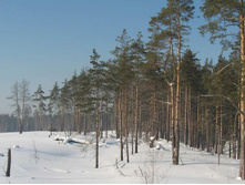 2011-02-22 14-39-06_cr.jpg