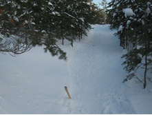 2011-02-22 17-35-22_cr.jpg