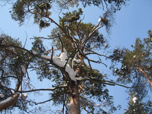 2011-02-23 13-30-21_cr.jpg