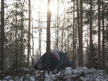 2011-02-23 10-31-09_cr.jpg