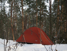 2011-02-23 10-31-12_cr.jpg