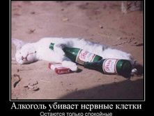 884802_alkogol-ubivaet-nervnyie-kletki.jpg