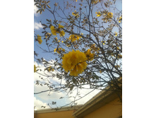 Florida, February 2011