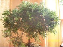 ���������� �ݣ.jpg