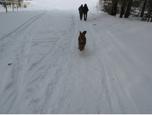 Resize of IMG_7937.JPG