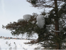 Resize of IMG_7939.JPG