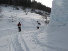 Resize of IMG_7947.JPG