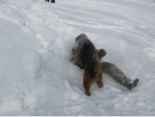 Resize of IMG_7953.JPG