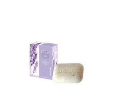 ��������������� ����