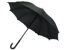 L1007---������, �������.