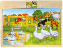 20 ���. 115 ���.jpg