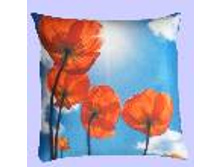 ������� \"��� � ������\"