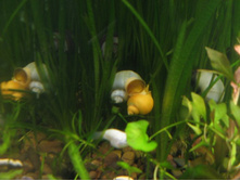 ���������� ������� � ������� ���������.jpg