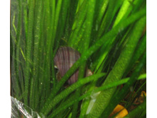 ��������� ���������.jpg