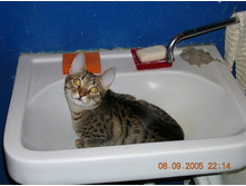 ����������� 055.jpg