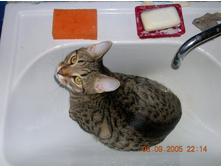 ����������� 056.jpg