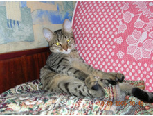 ����������� 057.jpg