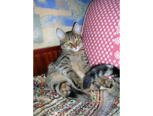 ����������� 058.jpg