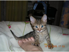 ���� � �������