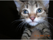 ���� � �������