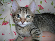 ���� � �������