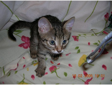 ���� � �������