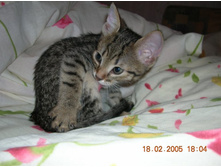 ���� � �������