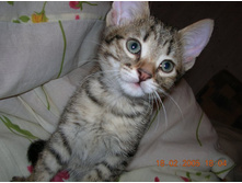 ���� � �������