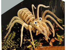 77 ��������.jpg