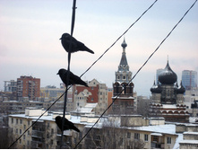 ��� �� ���� �����