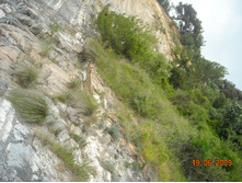 ����������� 153.jpg