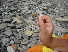 ����������� 169.jpg