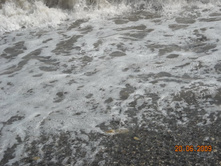 ����������� 188.jpg