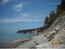 ����������� 210.jpg