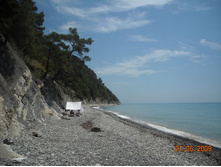 ����������� 219.jpg