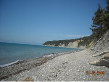 ����������� 232.jpg