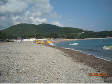 ����������� 237.jpg