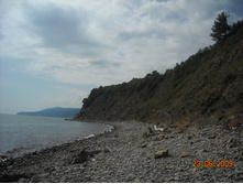 ����������� 239.jpg