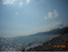 ����������� 240.jpg