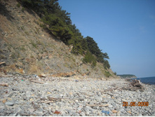 ����������� 241.jpg