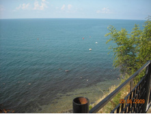 ����������� 259.jpg