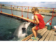 ����������� ��