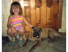 ���� ������