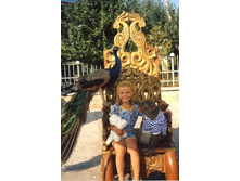 ���� �������� � ������� ��