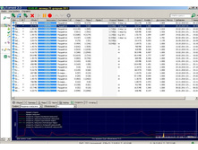 �������� ��� �����20110225-01.jpg