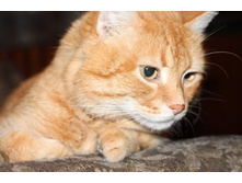 ����� (2) IMG_1515.JPG