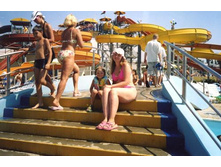 �������� ��