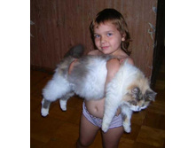 ������ � ���������, �.�. �������� :)