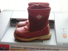 P1010149.JPG
